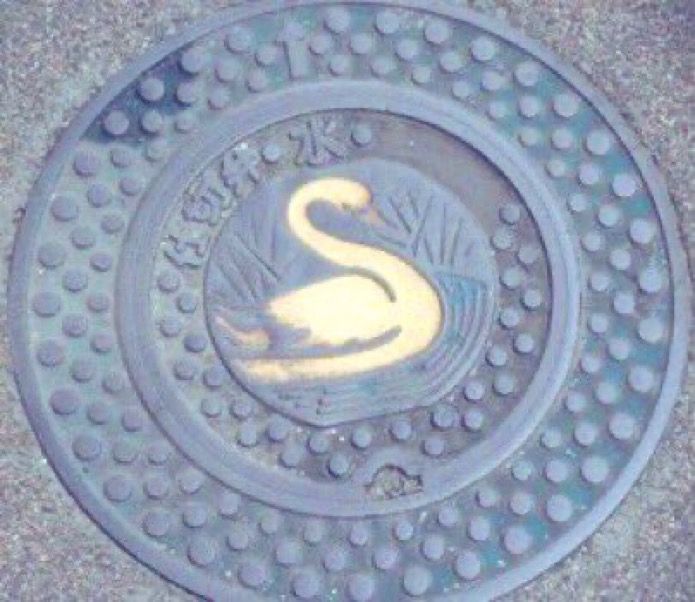 A periwinkle colored manhole with a swan on it. 