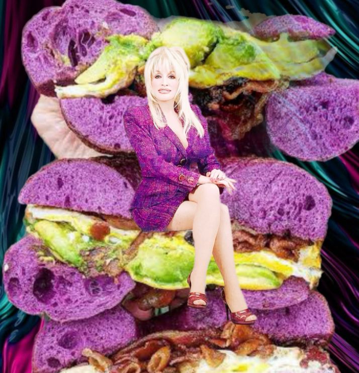 Dolly on a purple bagel sandwich thing. 