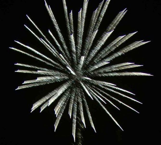 Firework that matches Dolly’s outfit color wise. 