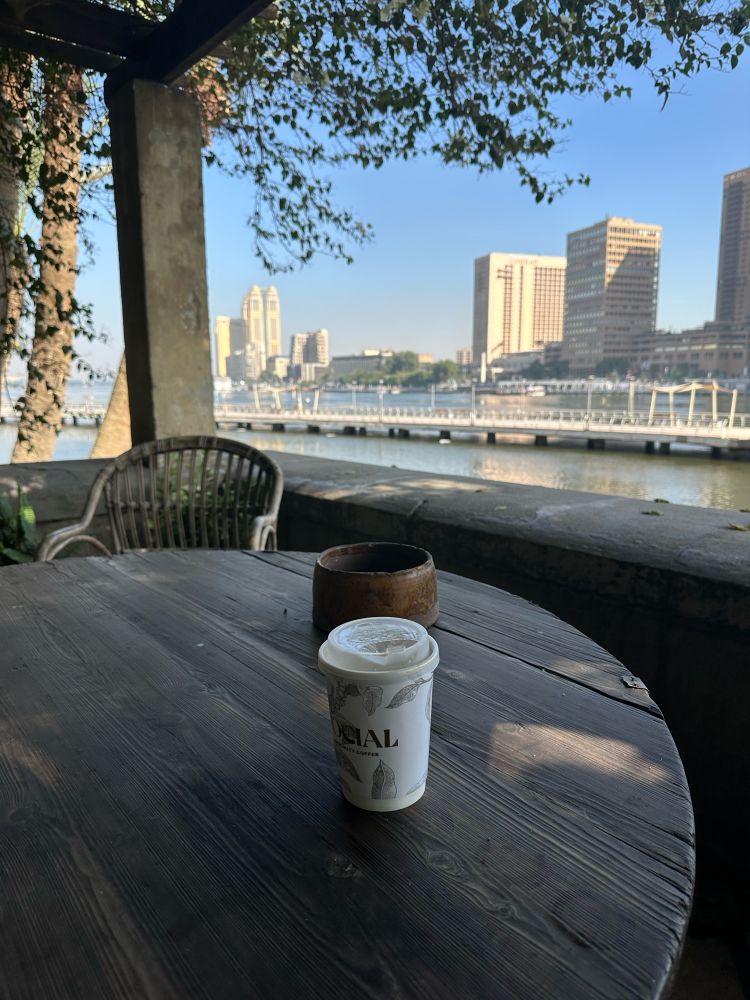 Take out coffee cup on a wooden table under trees and next to the Nile river. High rise buildings on the opposite side of the river.