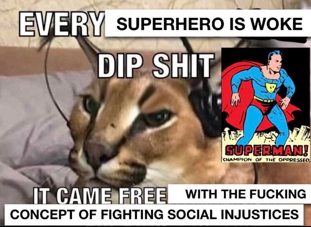 A meme of a cat wearing headphones. The text reads: "EVERY SUPERHERO IS WOKE DIP SHIT IT CAME FREE WITH THE FUCKING CONCEPT OF FIGHTING SOCIAL INJUSTICES" The image also contains a vintage image from an old Superman comic of Superman which reads: "SUPERMAN! CHAMPION OF THE OPPRESSED."