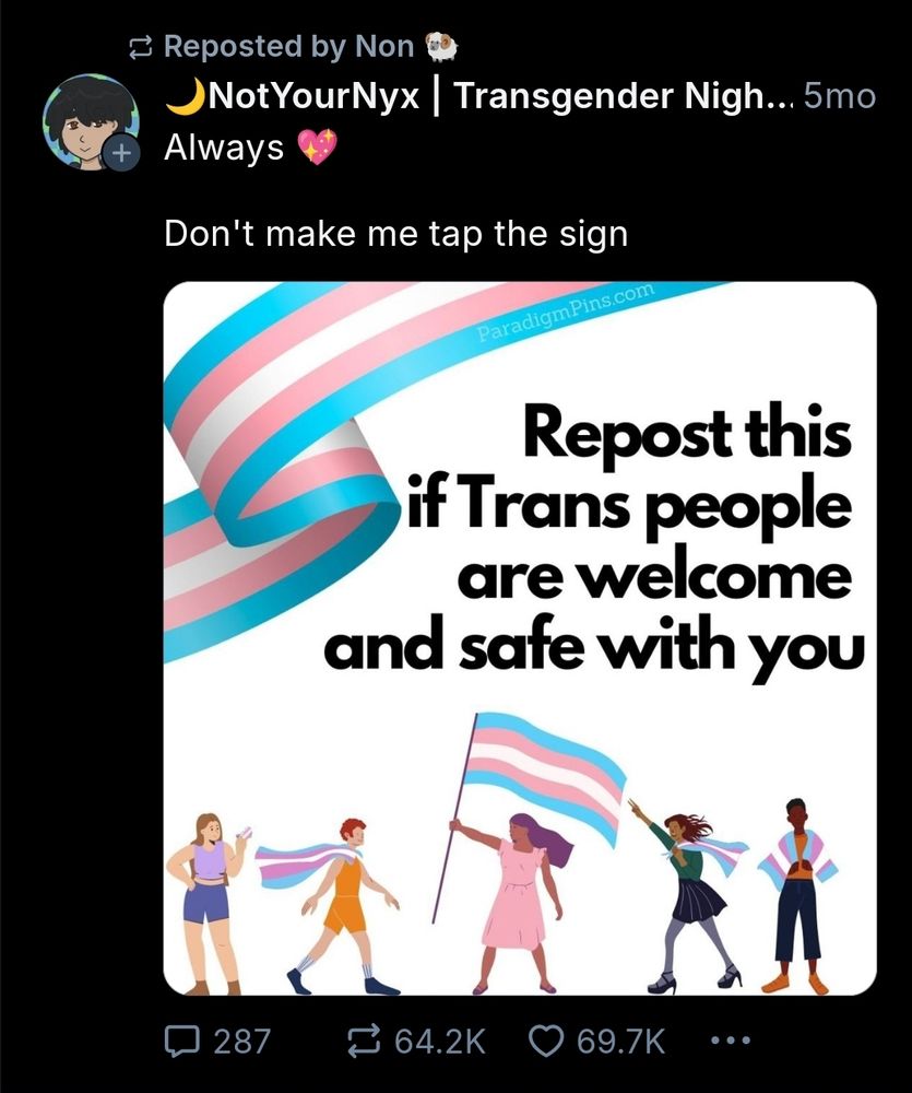 Screenshot of the user Non reposting a post saying "Repost this if Trans people are welcome and safe with you"