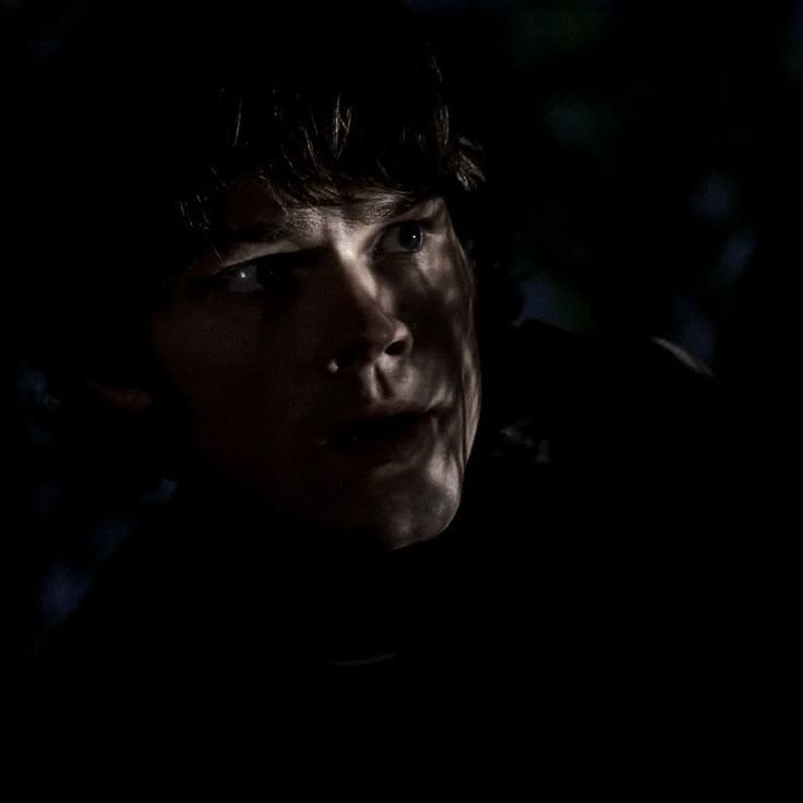 A dimly lit scene featuring Sam Winchester (Jared Padalecki) with dark hair, surrounded by shadows and blurred outlines of foliage in supernatural 
