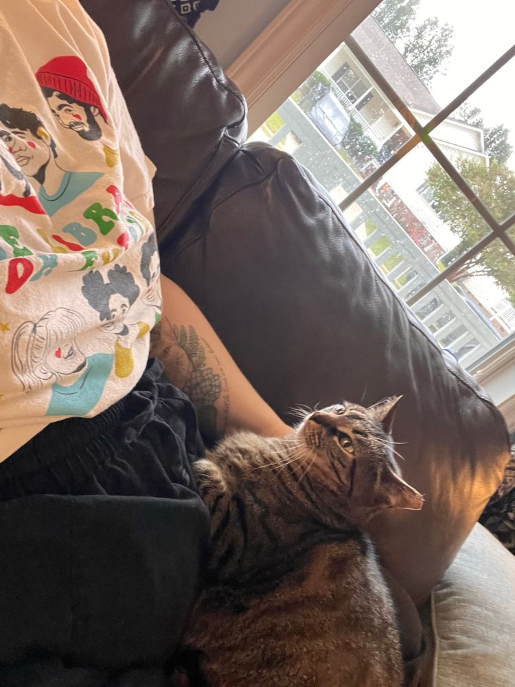 A brown ear tipped tabby lies on Harper’s lap 