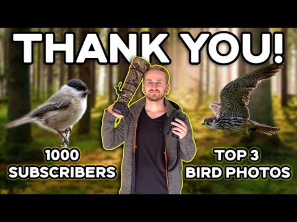 Never Saw This Coming + My TOP THREE Bird Photos