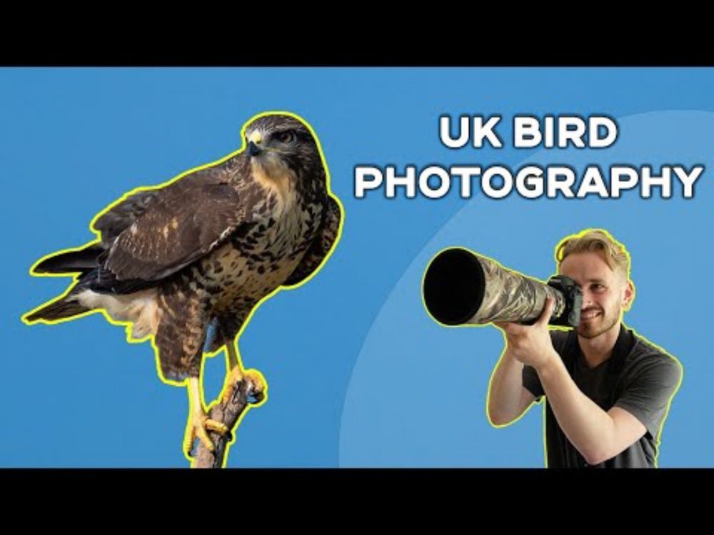 Let's Photograph Some Birds! - Nikon Z8 + 600mm F6.3 VR S