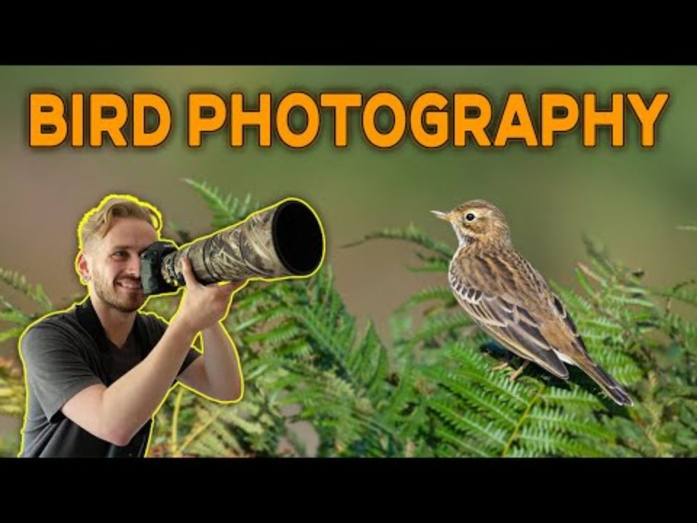 BIRD PHOTOGRAPHY On A Beautiful 10 Mile Hike