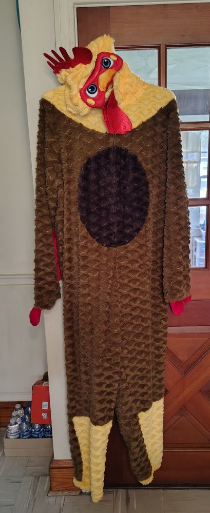 Photo of an adult size chicken costume hanging on a door. Brown with yellow lower legs, head, and neck. Darker brown oval on belly. Red comb and waddle.