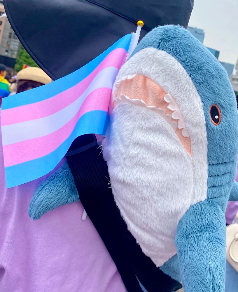 東京プライドでの写真。画面左上に水色、ピンク、白のトランスジェンダーフラッグ、右半分にイケアのサメのぬいぐるみが写っている。サメのヒレでフラッグを持っているようなレイアウト。　