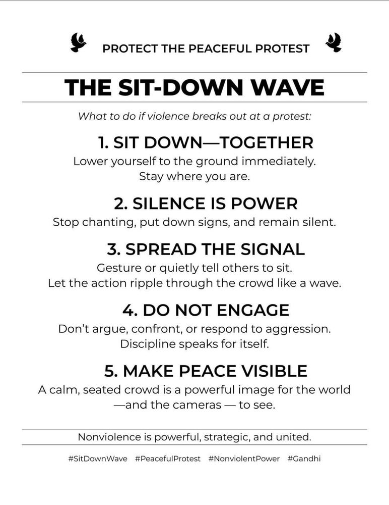 Text only:
PROTECT THE PEACEFUL PROTEST
THE SIT-DOWN WAVE
What to do if violence breaks out at a protest:
1. SIT DOWN-TOGETHER
Lower yourself to the ground immediately.
Stay where you are.
2. SILENCE IS POWER
Stop chanting, put down signs, and remain silent.
3. SPREAD THE SIGNAL
Gesture or quietly tell others to sit.
Let the action ripple through the crowd like a wave.
4. DO NOT ENGAGE
Don't argue, confront, or respond to aggression.
Discipline speaks for itself.
5. MAKE PEACE VISIBLE
A calm, seated crowd is a powerful image for the world
—and the cameras — to see.
Nonviolence is powerful, strategic, and united.
#SitDownWave
#PeacefulProtest
#NonviolentPower
#Gandhi