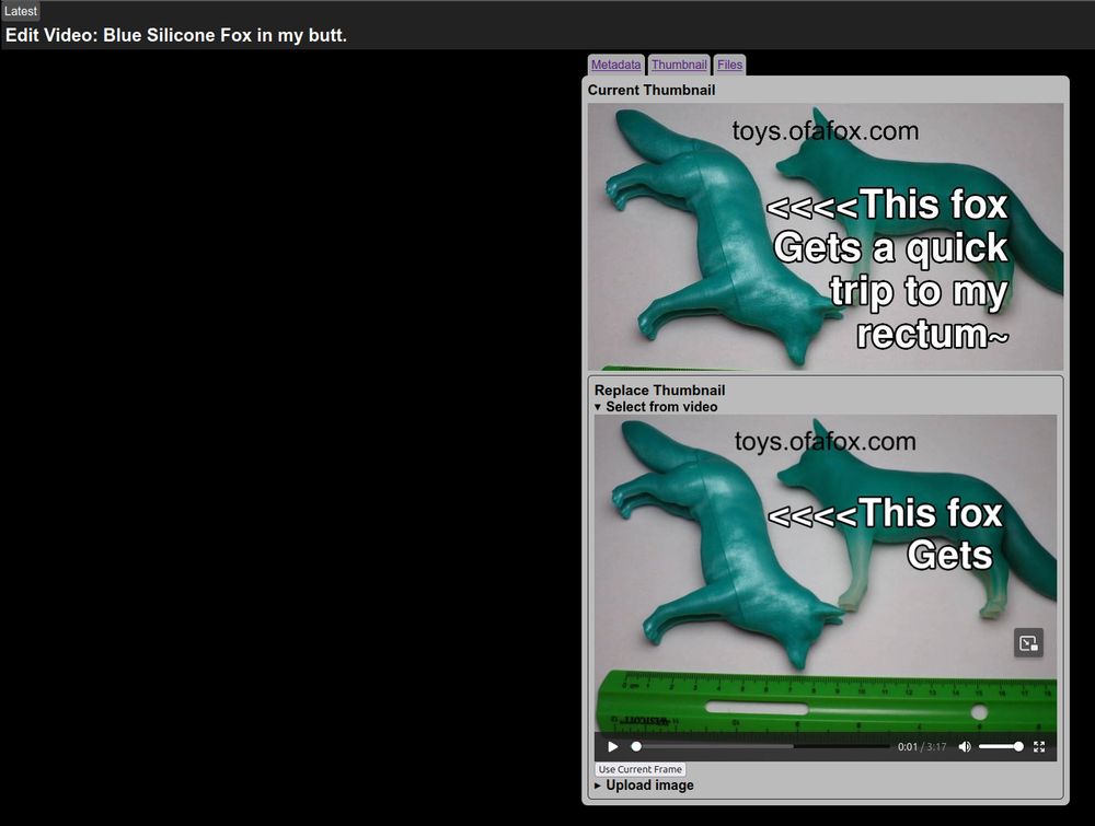 Screenshot of the thumbnail editor page on one of my videos on my site.