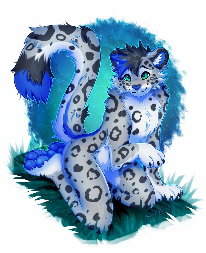 Snow leopard kneeling in the grass looking up at POV