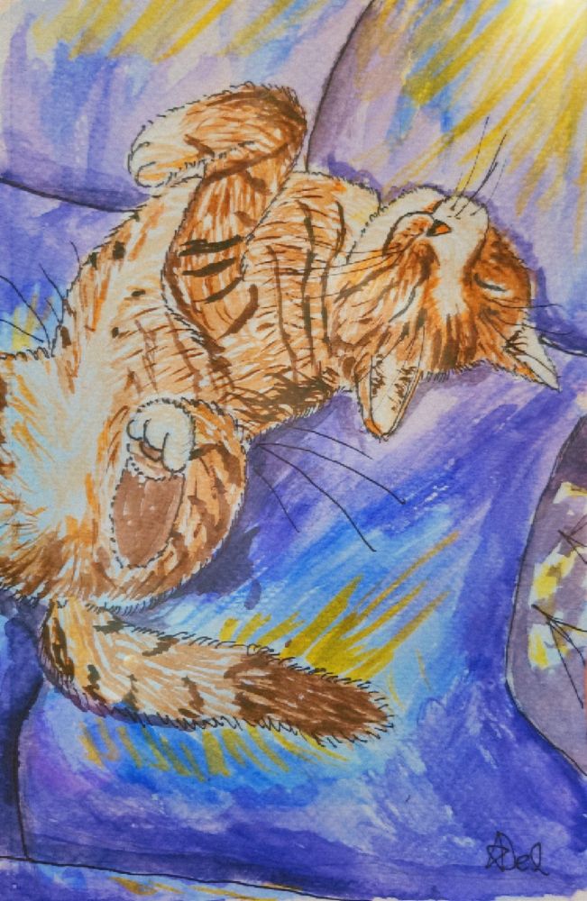 Brown tabby cat happily sleeping on his back on a couch 