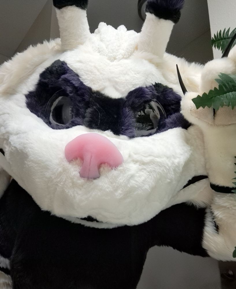 A black and white ferret-like fursuiter