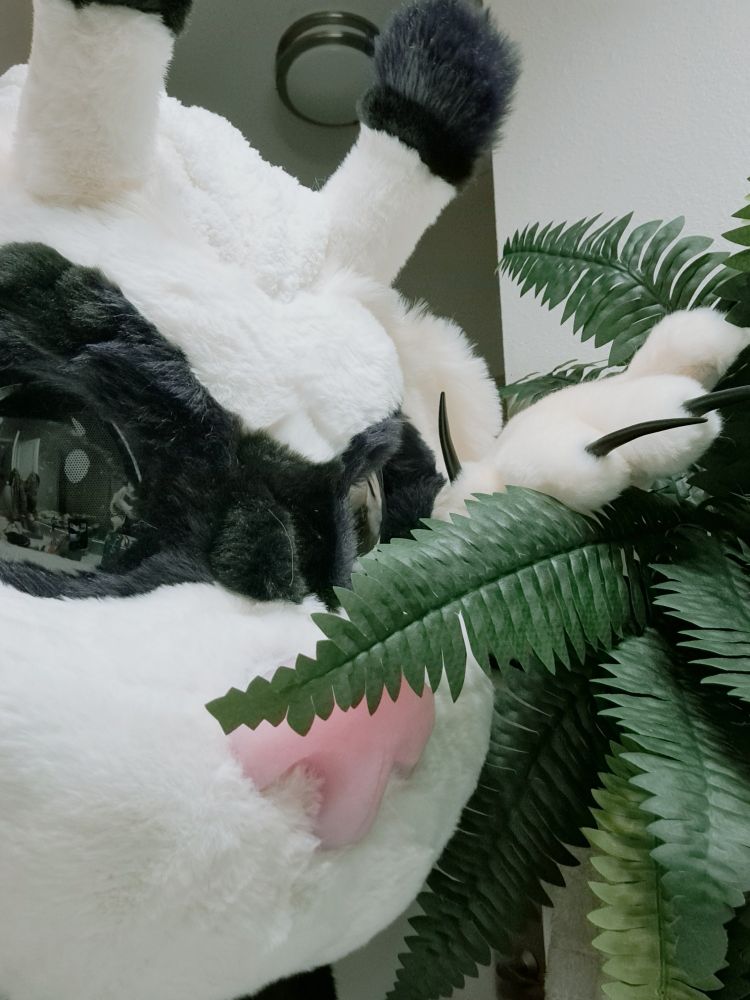 A white ferret-like fursuiter peeking into the image with one paw over a fern.