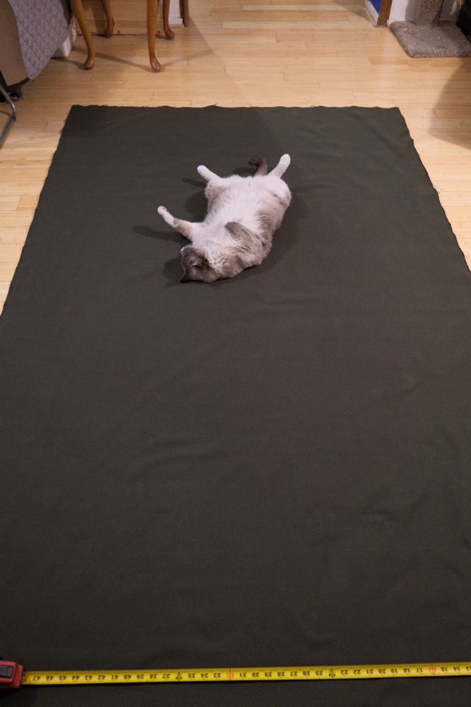 A cat with white paws and Siamese coloring lays across a large swatch of dark green cloth. He has flopped on his back and looks very content.