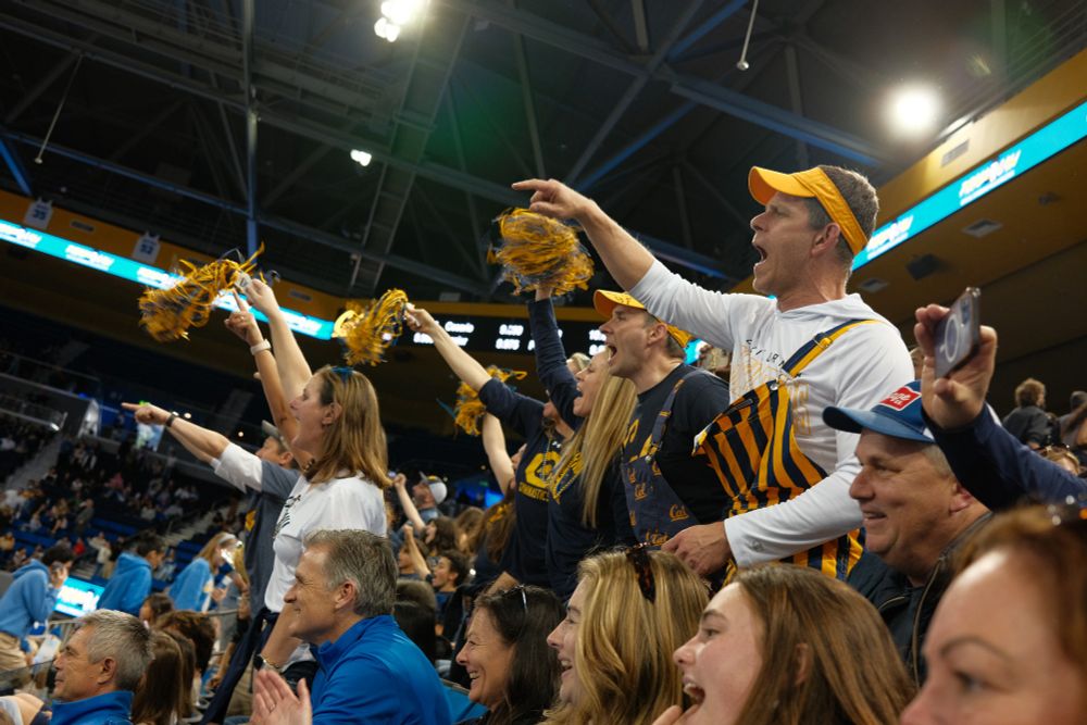 A photo of the crowd in a gymnasium. A group of fans wearing the yellow and blue of UC Berkeley are standing and cheering holding pom poms and shouting support for their gymnasts.