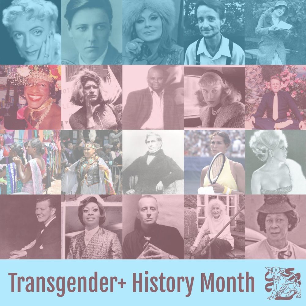 Image features: Christine Jorgensen, Michael Dillon, April Ashley, Lou Sullivan, Lili Elbe, Marsha P. Johnson, Sylvia Rivera, Alexander John Goodrum, Roberta Cowell, Reed Erickson, Hijra, Two-spirit people, James Barry, Renée Richards, Coccinelle, Billy Tipton, Jackie Shane, Leslie Feinberg, Jan Morris, Lucy Hicks Anderson 