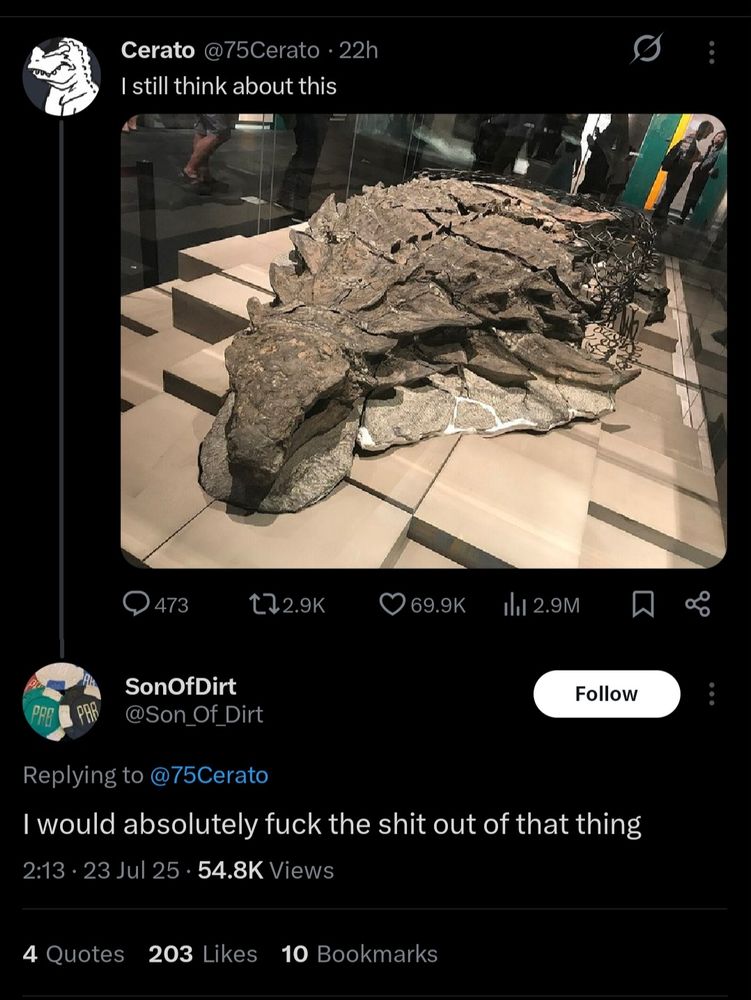 Picture of a fossilised Ankylosaurus in a museum. Someone commented "I would absolutely fuck the shit out of that thing."