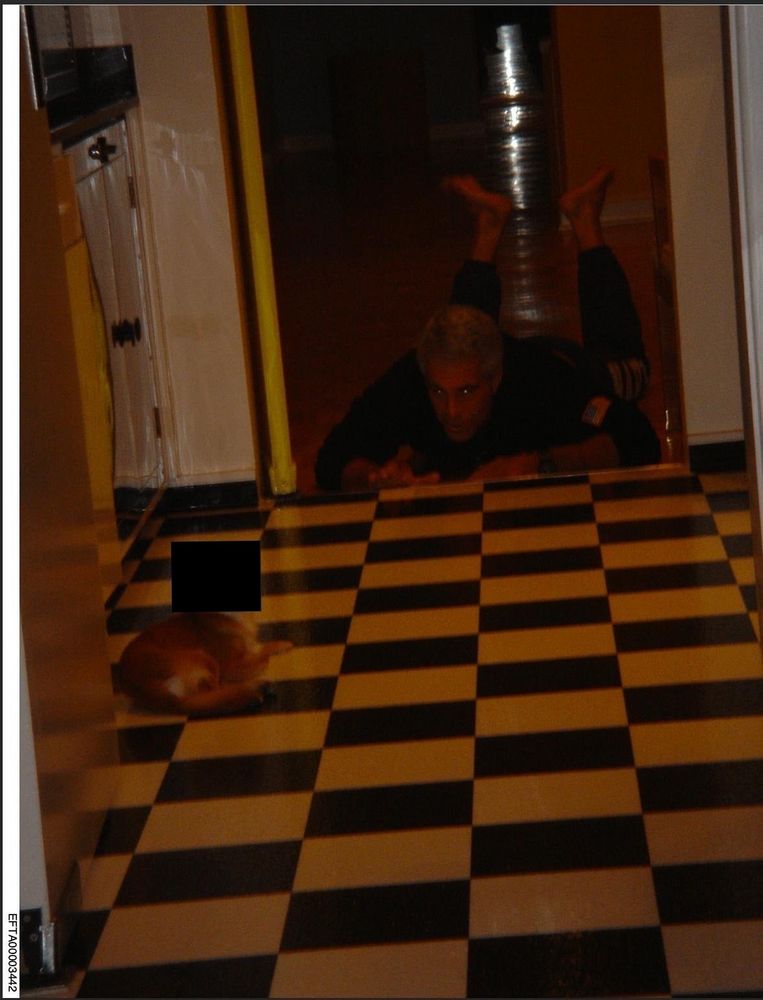 same pic with the dog's face redacted to protect victims 