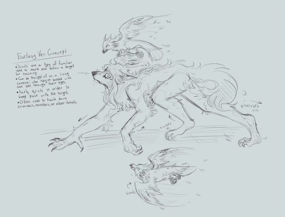 Sketch of wolf Jackie trying to outrun Scouts that are teaching him down for some mysterious reason.

“Fantasy Version Concept”

“ - ‘Scouts’ are a type of familiar used to mark and follow a target for tracking.”

“ - Can be thought of as a ‘living camera’, who they’re bonded with can see through their eyes.”

“ - Fairly quick in order to keep pace with the target.”

“ - Often used to track down criminals, monsters, or other threats.”