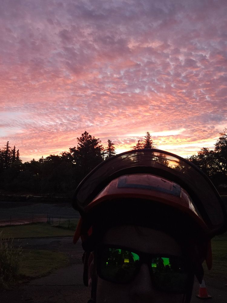 Sunrise over a line of trees with the darkened face of a man in a hardhat and sunglasses.