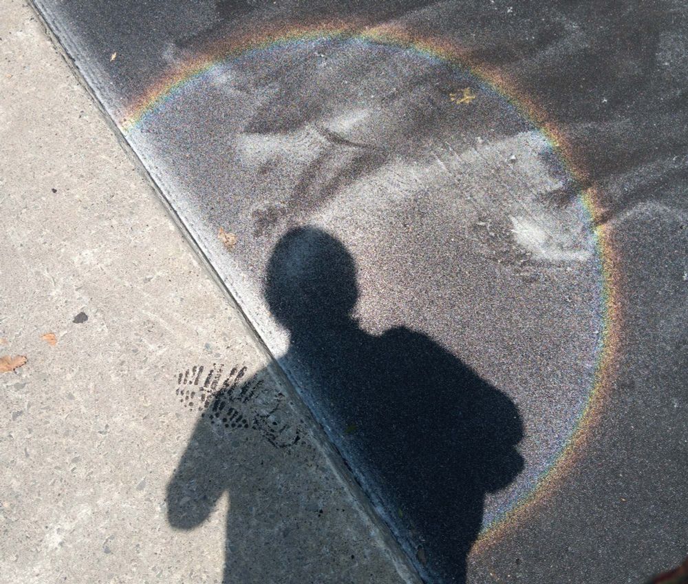 The shadow of my head & torso off the edge of a sidewalk onto a newly paved & marked city street, surrounded by a large rainbow halo of light - a trick of the reflective glass grains used to paint road markings.
