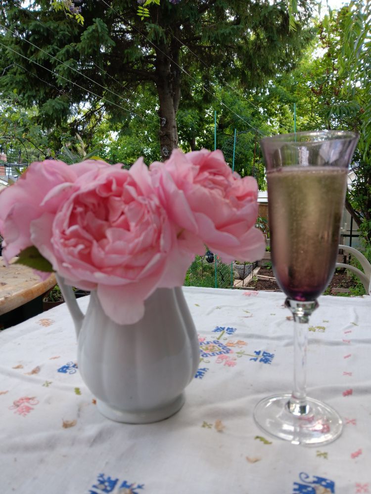 Embroidered linen tablecloth, on which sits a white ceramic vase holding English roses of soft pink. Also on the table, a purple glass champagne flute filled with Spanish cava, bubbles sparkling in the early evening sunshine. In the background, a clothesline, a small urban greenhouse, and leafy greenery also glowing with the sunlight.