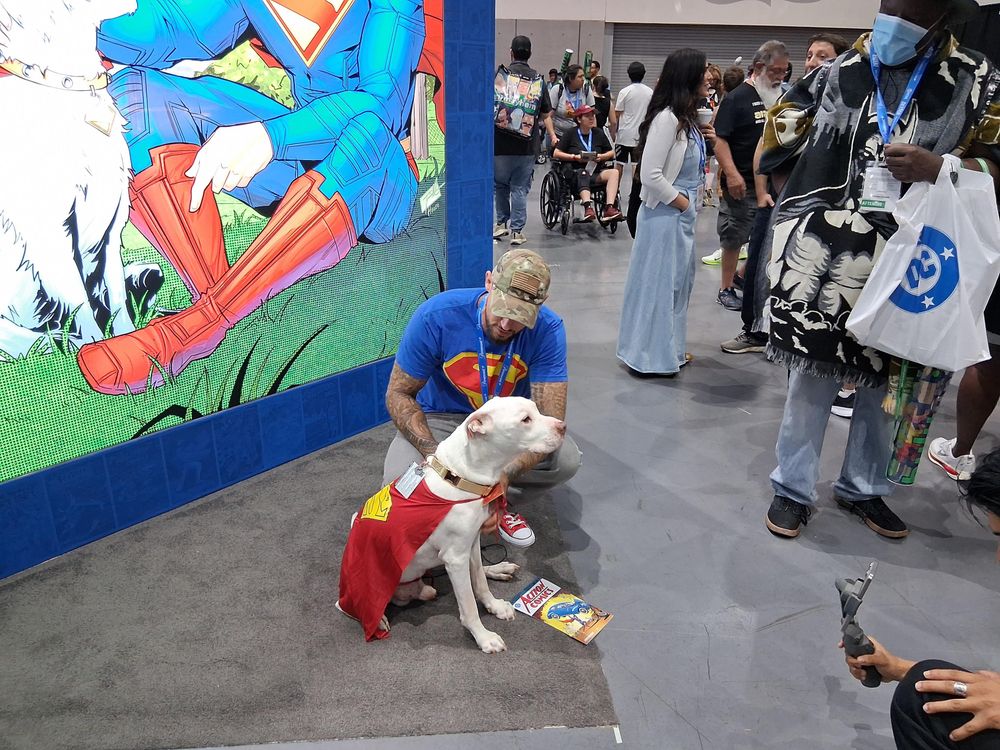 a dog dressed as Krypto