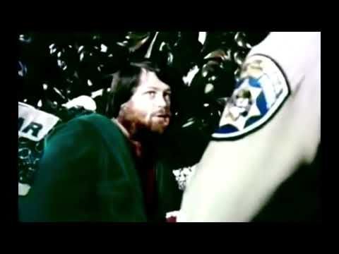 Belushi & Aykroyd Go Surfing with Brian Wilson