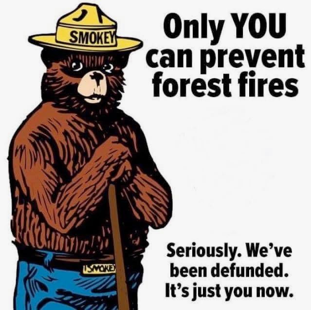Smokey the Bear says “Only you can prevent forest fires. Seriously. We’ve been defunded. It’s just you now”