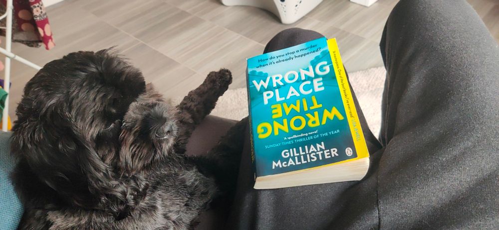 A black Cavapoo and the book 'Wrong Place Wrong Time' by Gillian McAllister