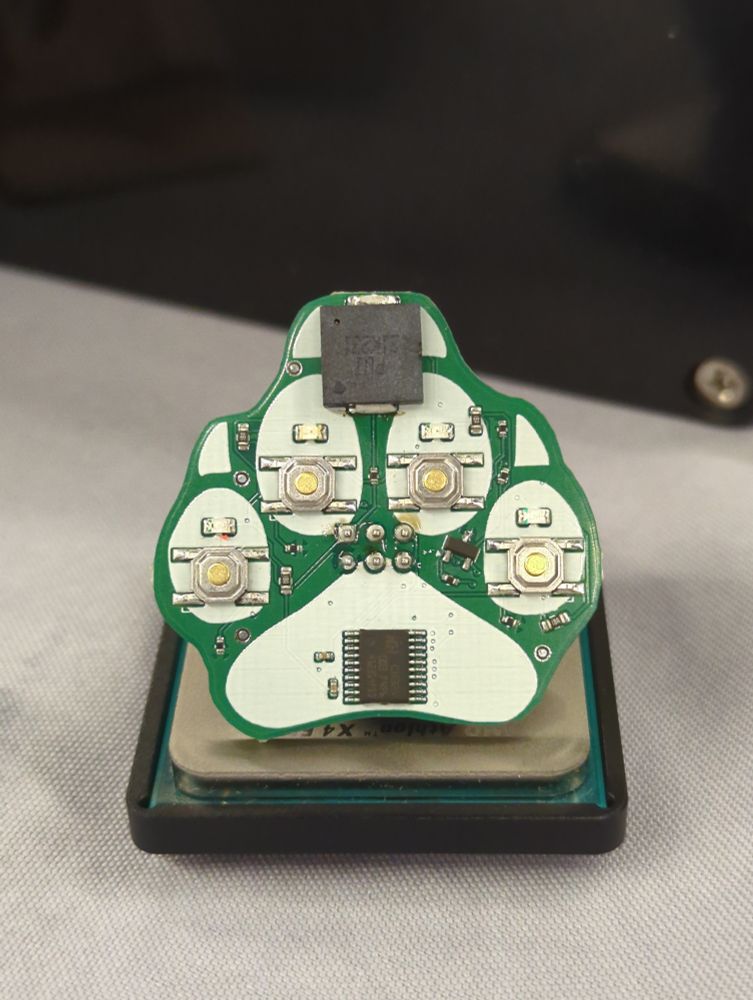A tiny pawprint-shaped shitty add-on with buttons and an LED for each pawbean that plays a game that is definitely legally distinct from anything you've ever heard of.