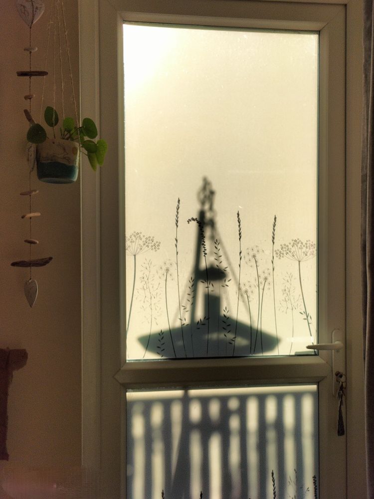 Picture of the shadows of a bird feeder through a glass door.