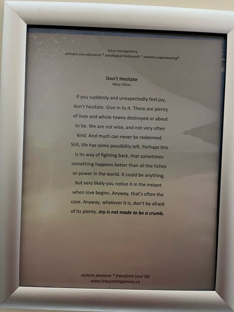 A closer up copy of “Don’t Hesitate” by Mary Oliver. Printed and installed (pun intended) in a bathroom stall by tracy montgomery. 