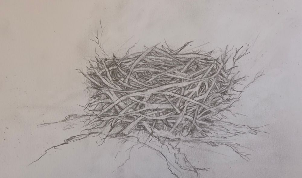 Added a branch and cleaned up a bunch of the lines