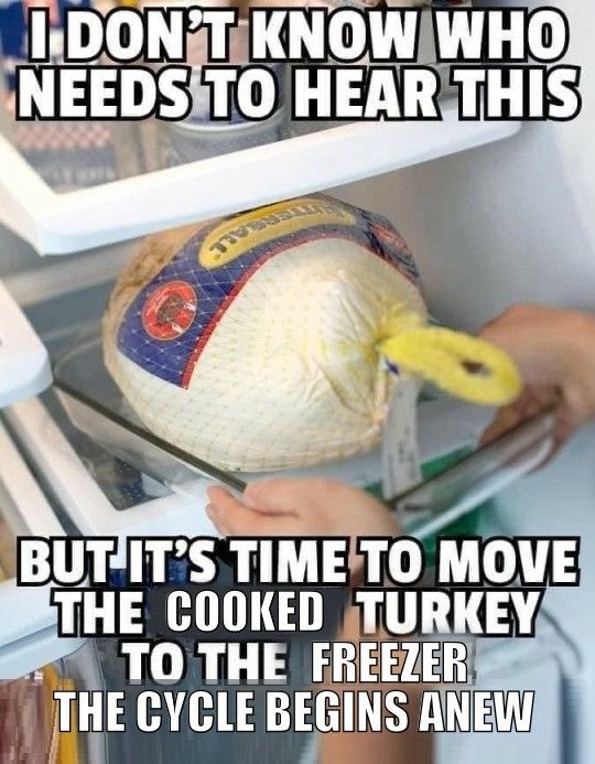 A meme with a picture of someone taking a frozen turkey out of the fridge. The text reads:  "I don't know who needs to hear this but it's time to move the cookie turkey to the freezer the cycle begins anew."