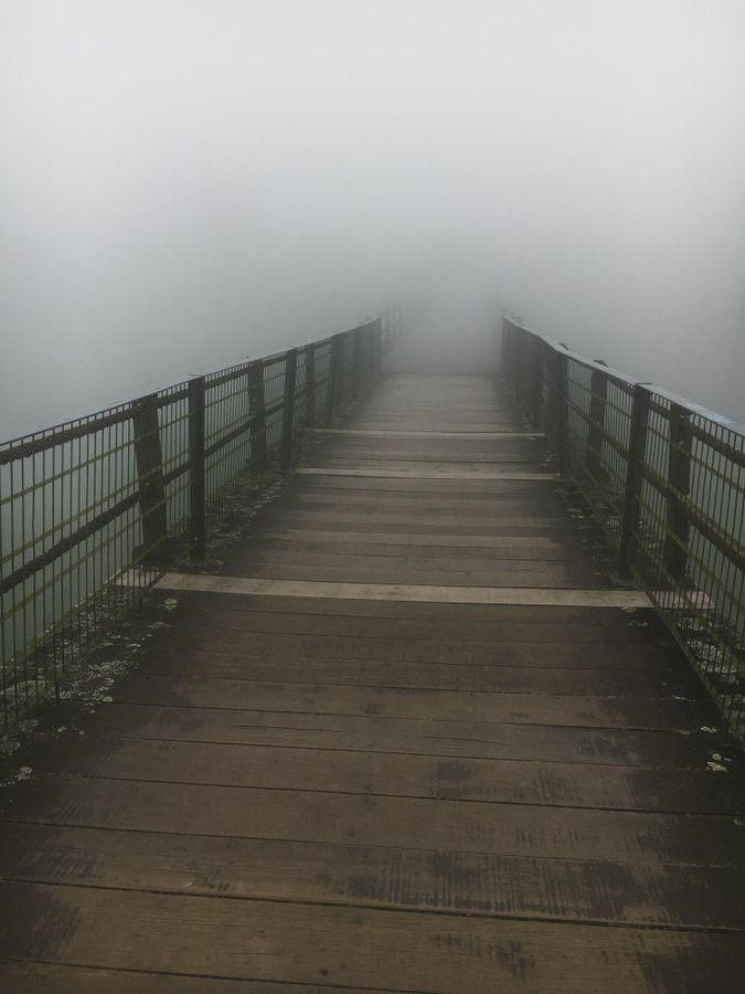 A wooden bridge in fog, over an unknowable drop, leading to who can tell where?