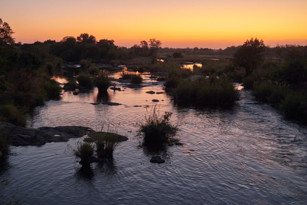 A beautiful marshy river plain at sun?set