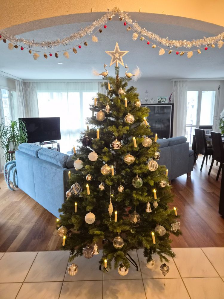 Christmas tree with silver ornaments