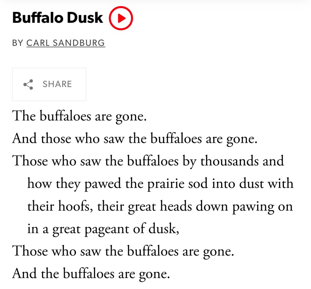 Buffalo Dusk
By Carl Sandburg

The buffaloes are gone.
And those who saw the buffaloes are gone.
Those who saw the buffaloes by thousands and how they pawed the prairie sod into dust with their hoofs, their great heads down pawing on in a great pageant of dusk,
Those who saw the buffaloes are gone.
And the buffaloes are gone.