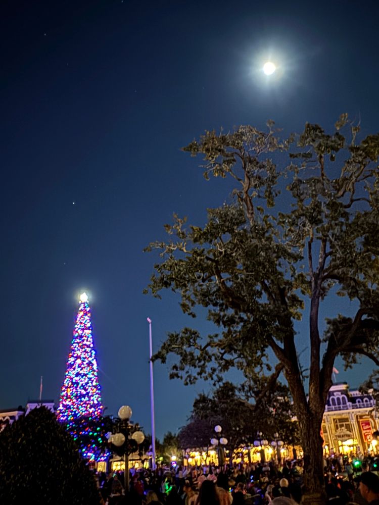 Magic Kingdom Christmas tree.