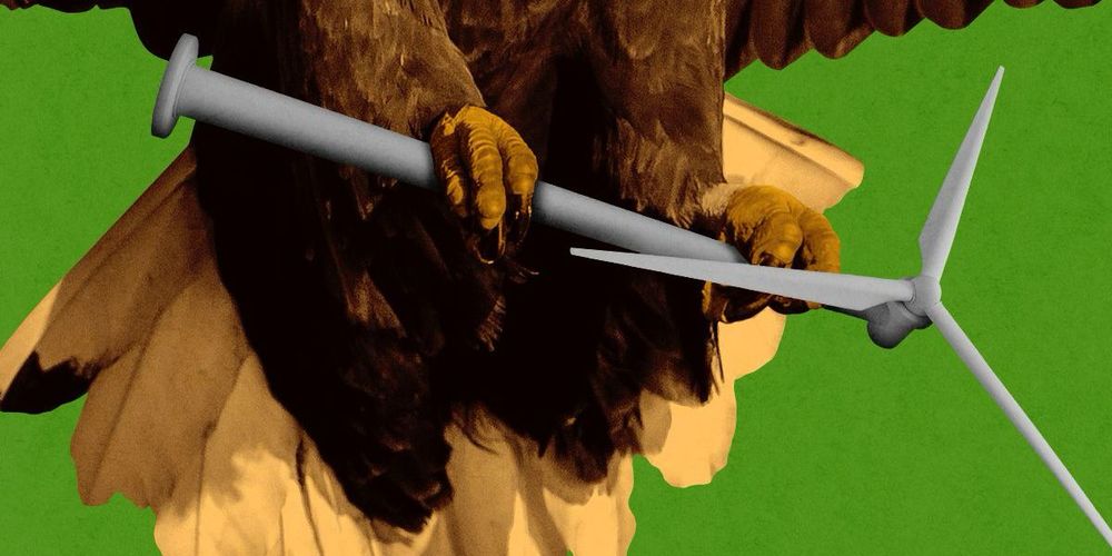 A new letter sent Friday asks for reams of documentation on developers’ compliance with the Bald and Golden Eagle Protection Act.