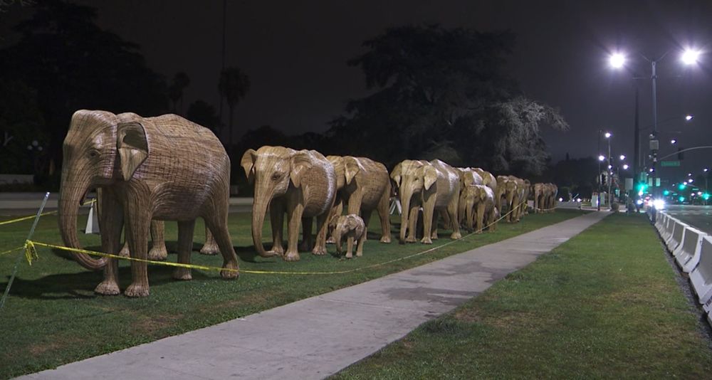 Yearlong Great Elephant Migration ends in Beverly Hills