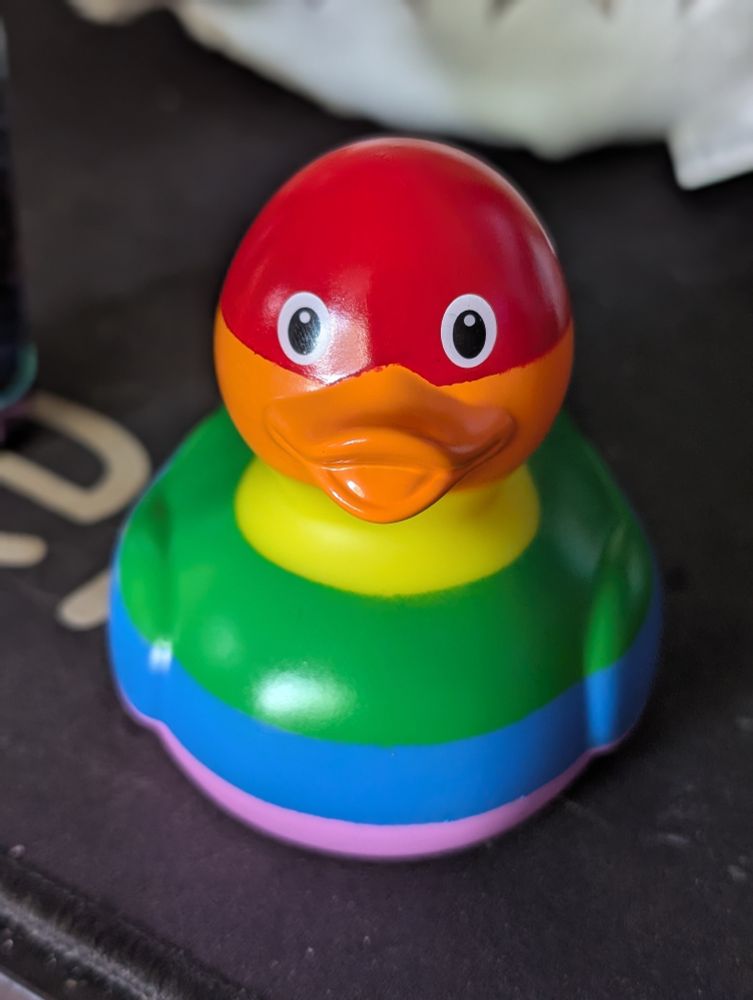 A rubber duck in Pride Colours on a black desktop