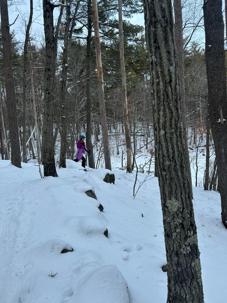 Person in purple skiing through the trees