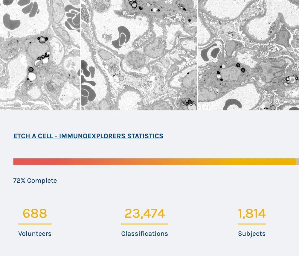 This is a screenshot of the project's landing page, showing the statistics quoted in the tweet - 688 volunteers have made 23,474 classifications