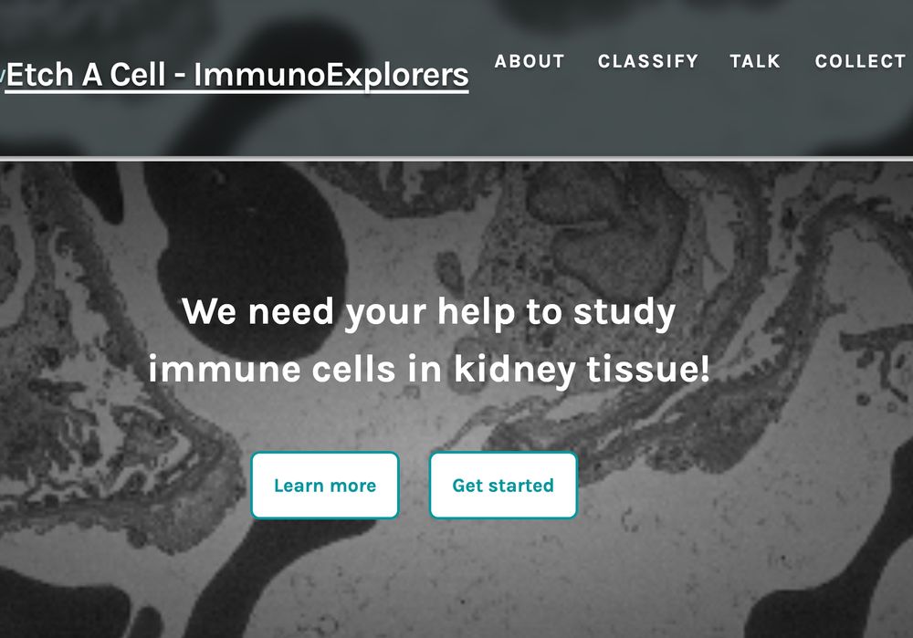 This shows the project landing page for Etch A Cell - ImmunoExplorers. It is an image of a cell and over the top is written 'We need your help to study immune cells in kidney tissue!'
