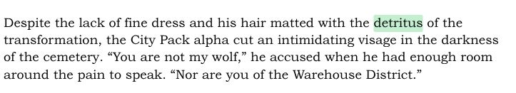 Despite the lack of fine dress and his hair matted with the detritus of the transformation, the City Pack alpha cut an intimidating visage in the darkness of the cemetery. “You are not my wolf,” he accused when he had enough room around the pain to speak. “Nor are you of the Warehouse District.”