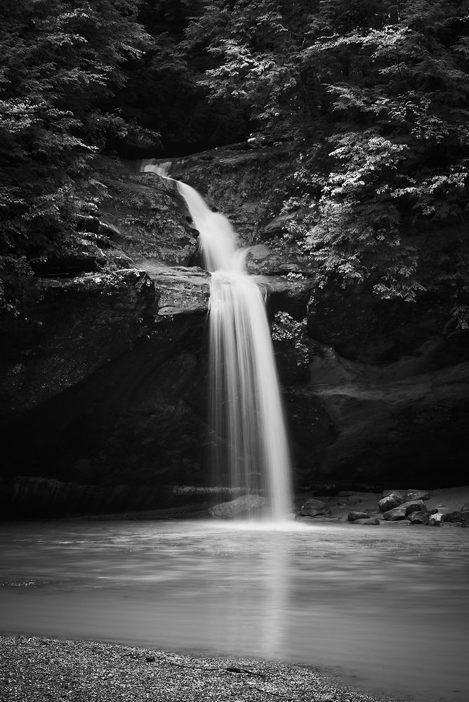 A black and white image of a waterfall cascading over rocks into a calm pool, surrounded by dense foliage.